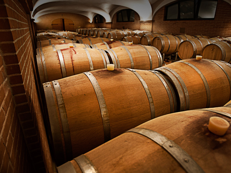 Consulenza - Startup aziende vinicole